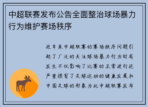 中超联赛发布公告全面整治球场暴力行为维护赛场秩序